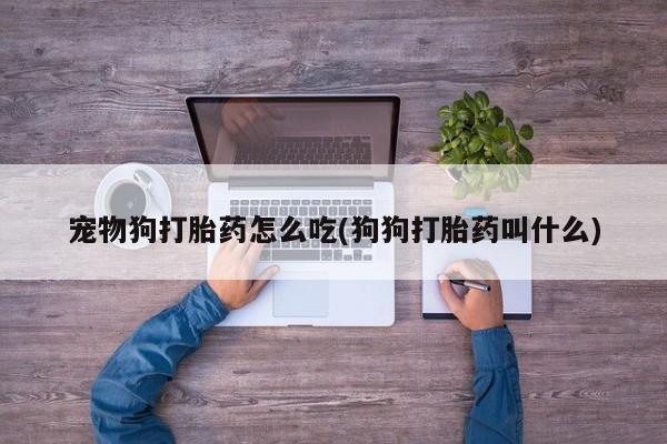 流产药微信买在线下单宠物狗打胎药怎么吃(狗狗打胎药叫什么)