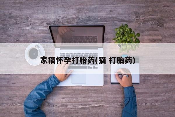 流产药微信买在线下单家猫怀孕打胎药(猫 打胎药)